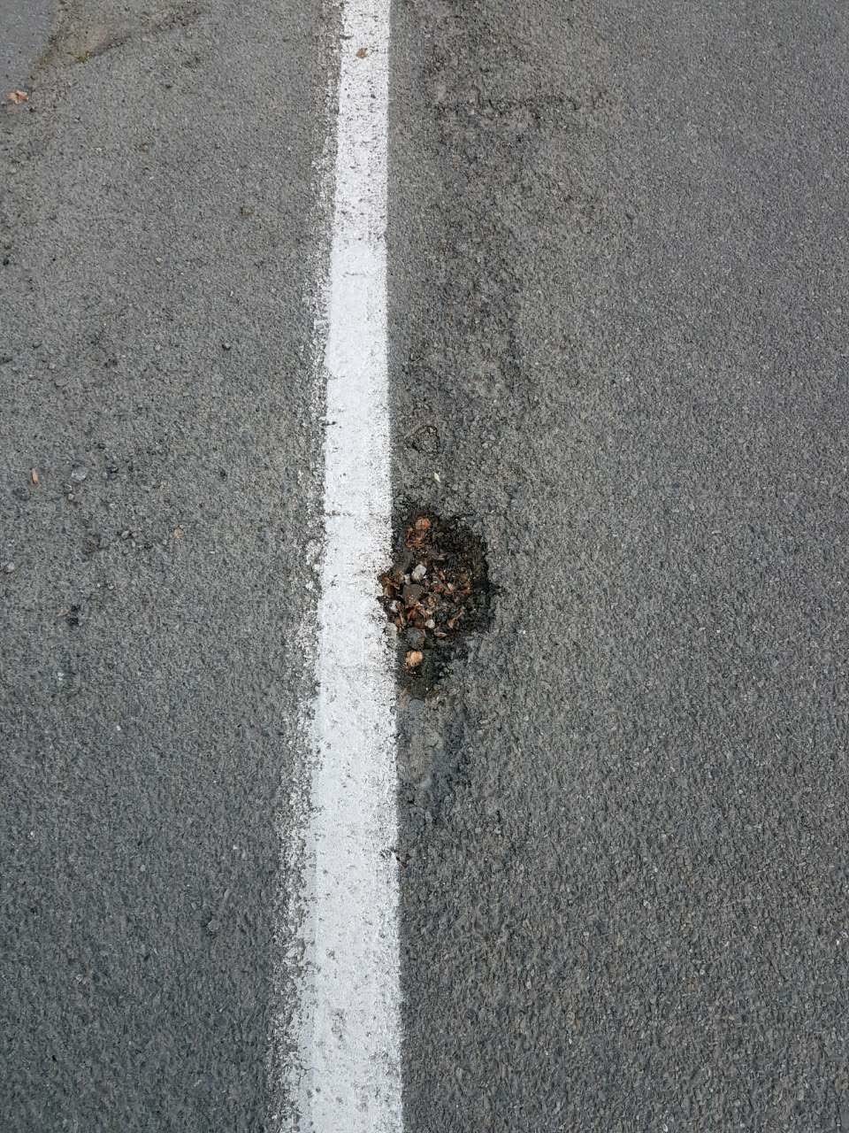 The photograph attached to this roading/streets report