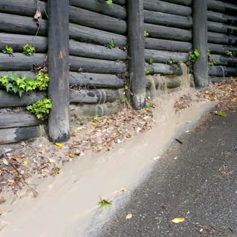 Wastewater/Stormwater, a report photo