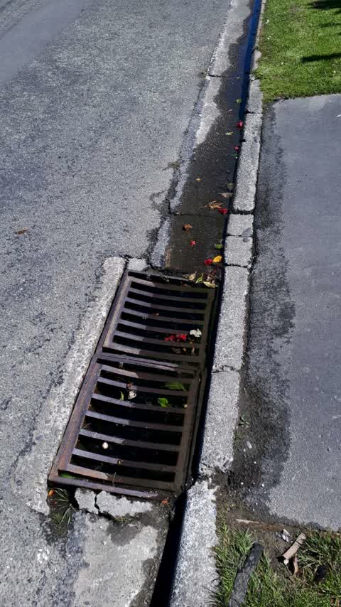 Wastewater/Stormwater, a report photo