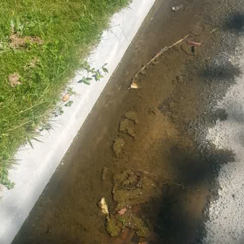 Water Supply, a report photo