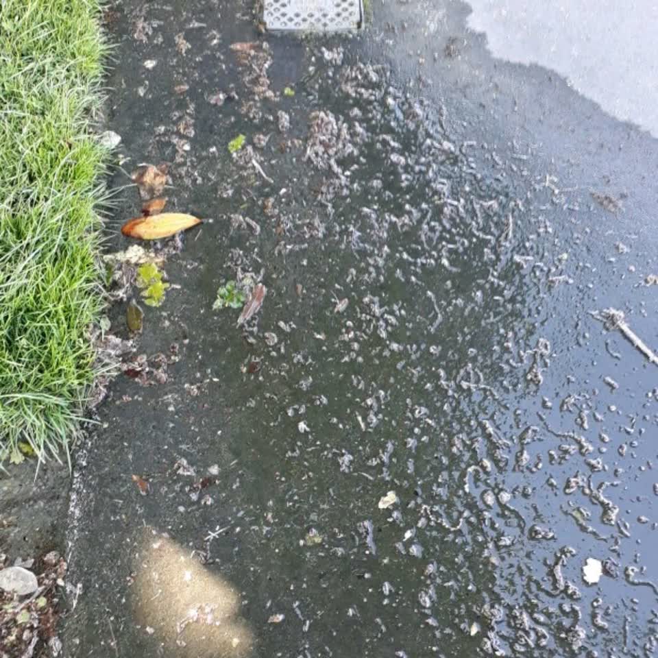 The photograph attached to this water supply report