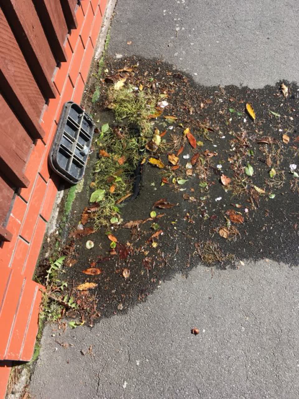 The photograph attached to this water supply report