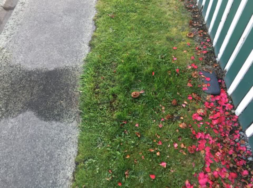 The photograph attached to this water supply report