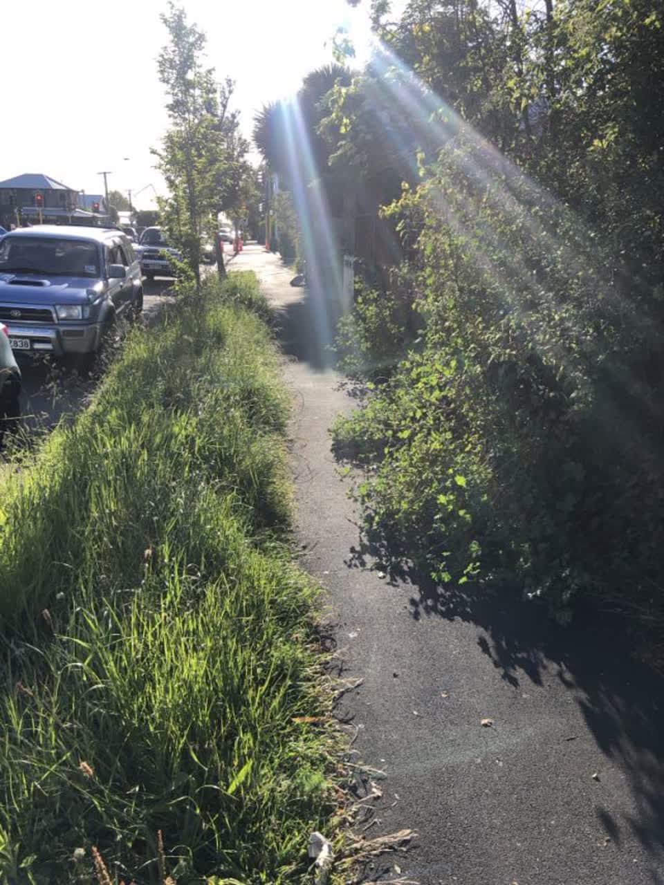 The photograph attached to this parks report