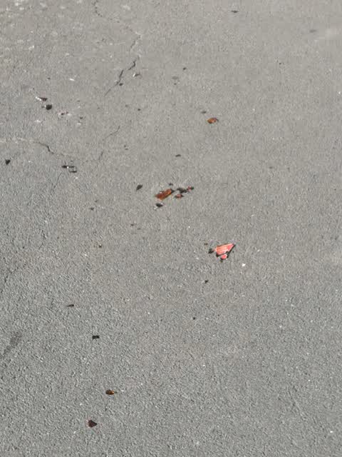 Roading/Streets, a report photo