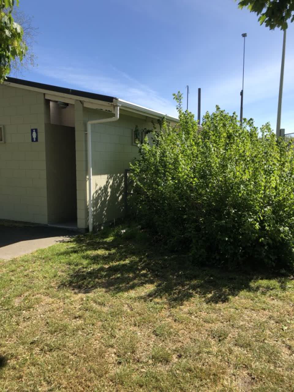 The photograph attached to this parks report