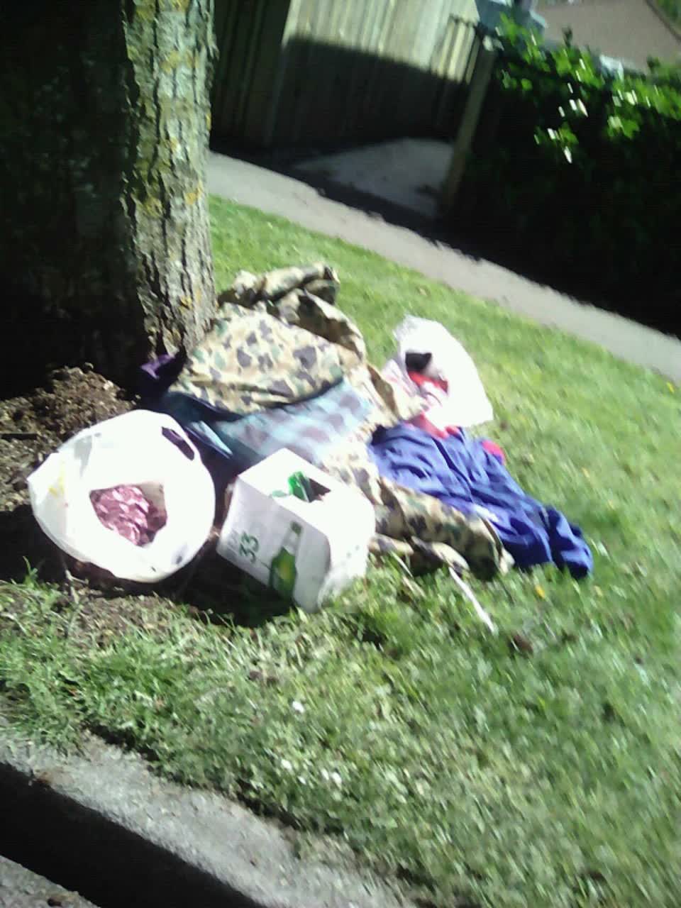 The photograph attached to this rubbish/recycling report