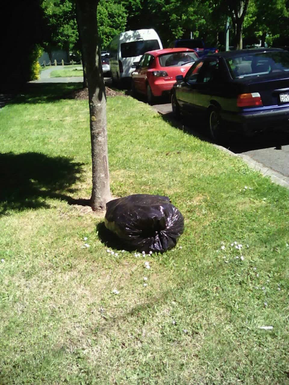 The photograph attached to this rubbish/recycling report