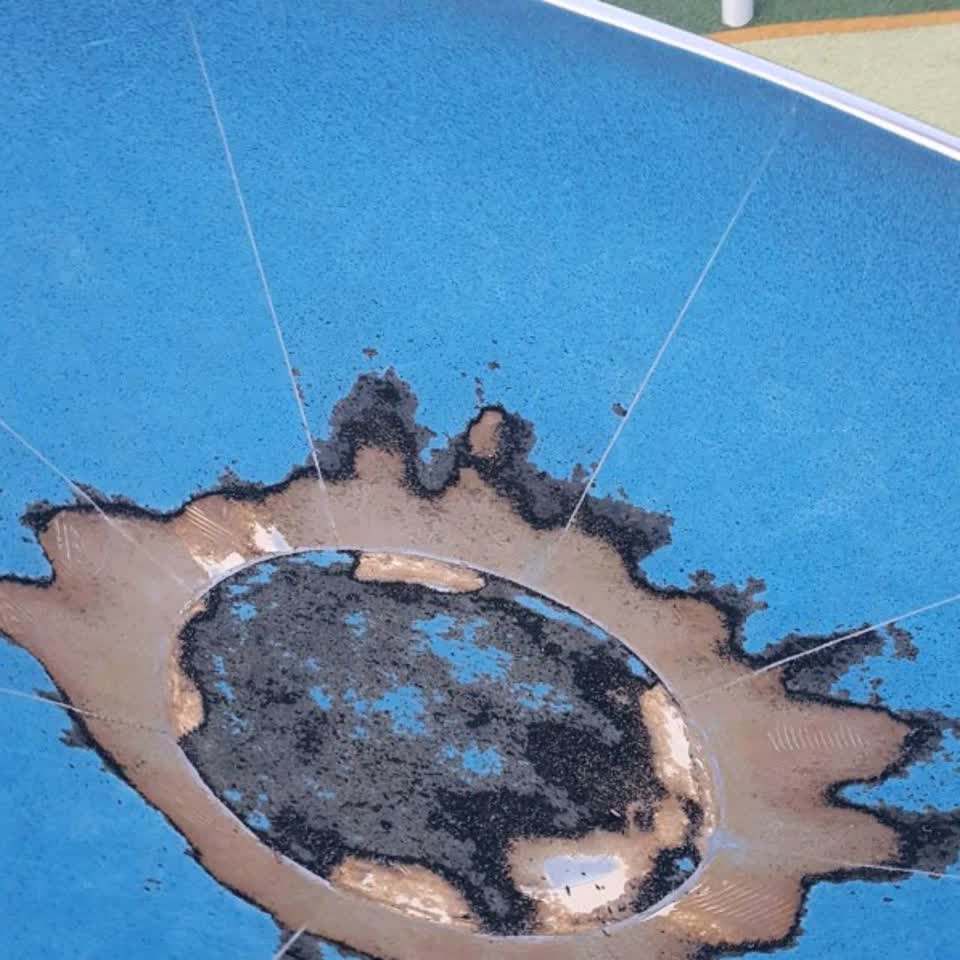 The photograph attached to this parks report