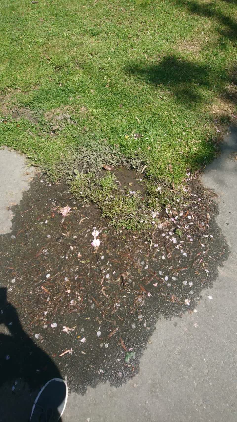 The photograph attached to this water supply report