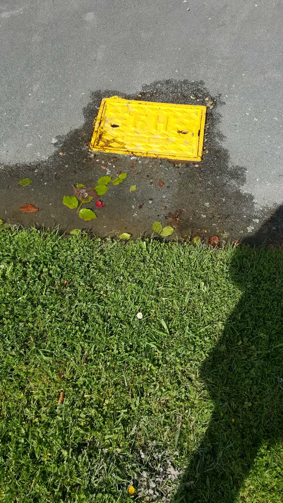 The photograph attached to this water supply report