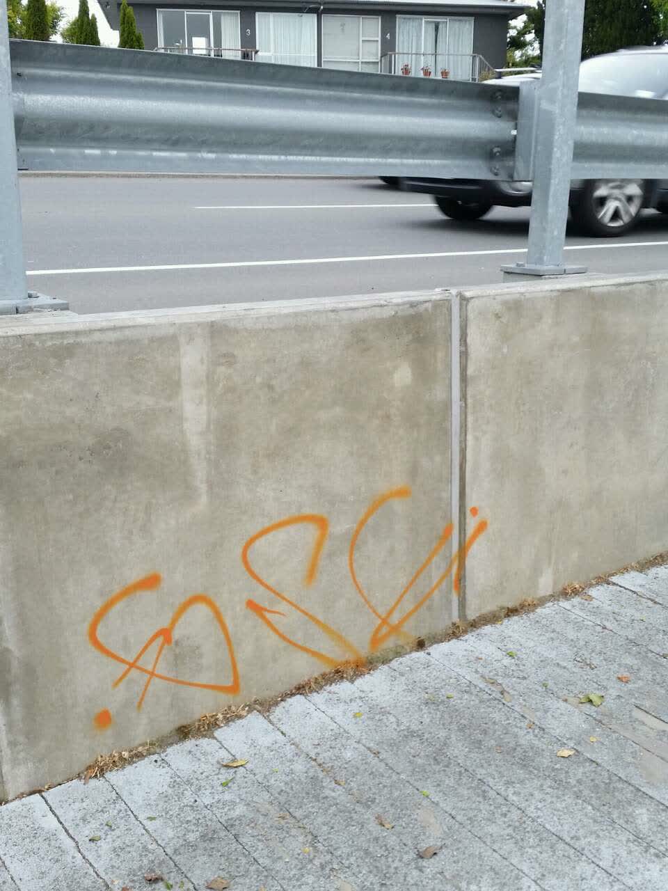The photograph attached to this graffiti report