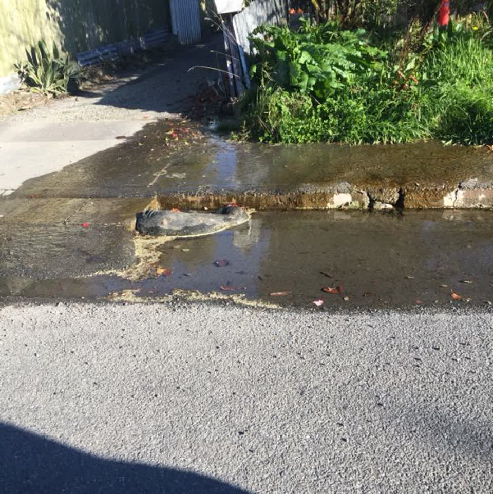 The photograph attached to this water supply report