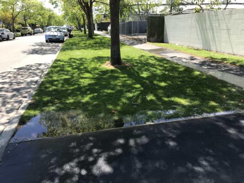 The photograph attached to this water supply report
