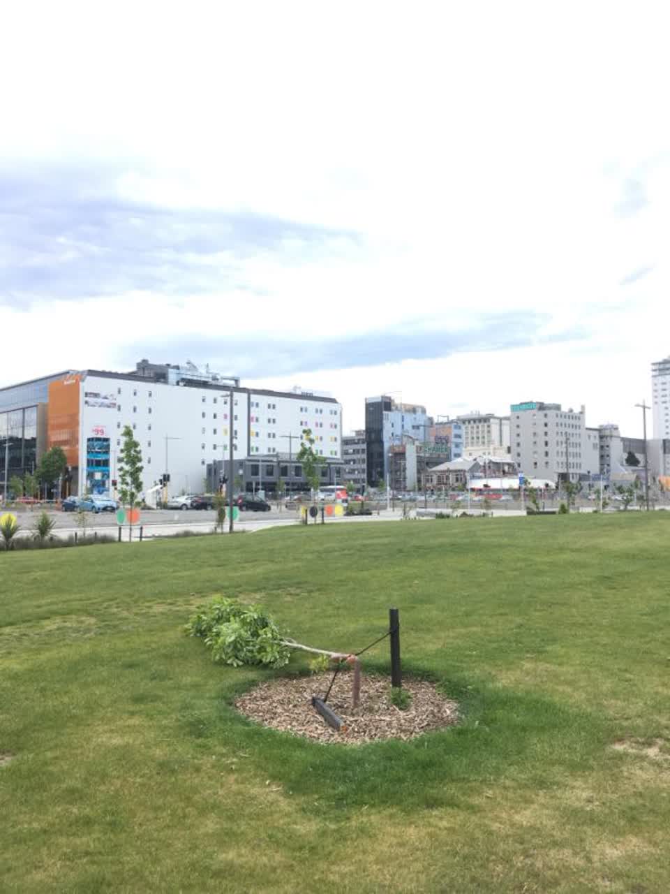The photograph attached to this parks report