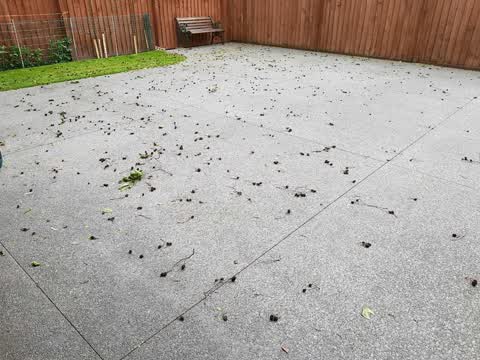 Parks, a report photo