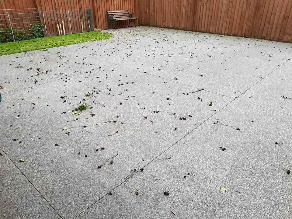 The photograph attached to this parks report