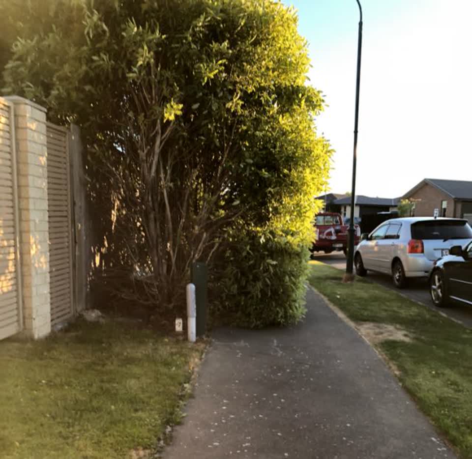 The photograph attached to this roading/streets report