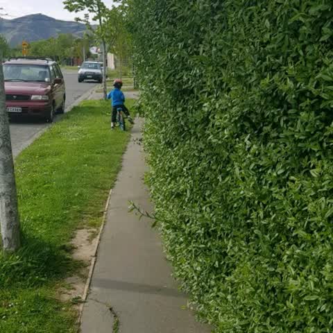 Roading/Streets, a report photo