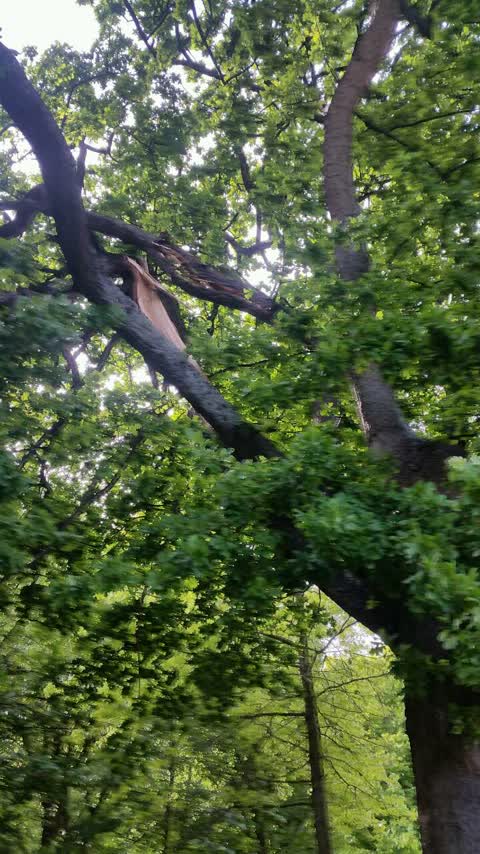 Parks, a report photo