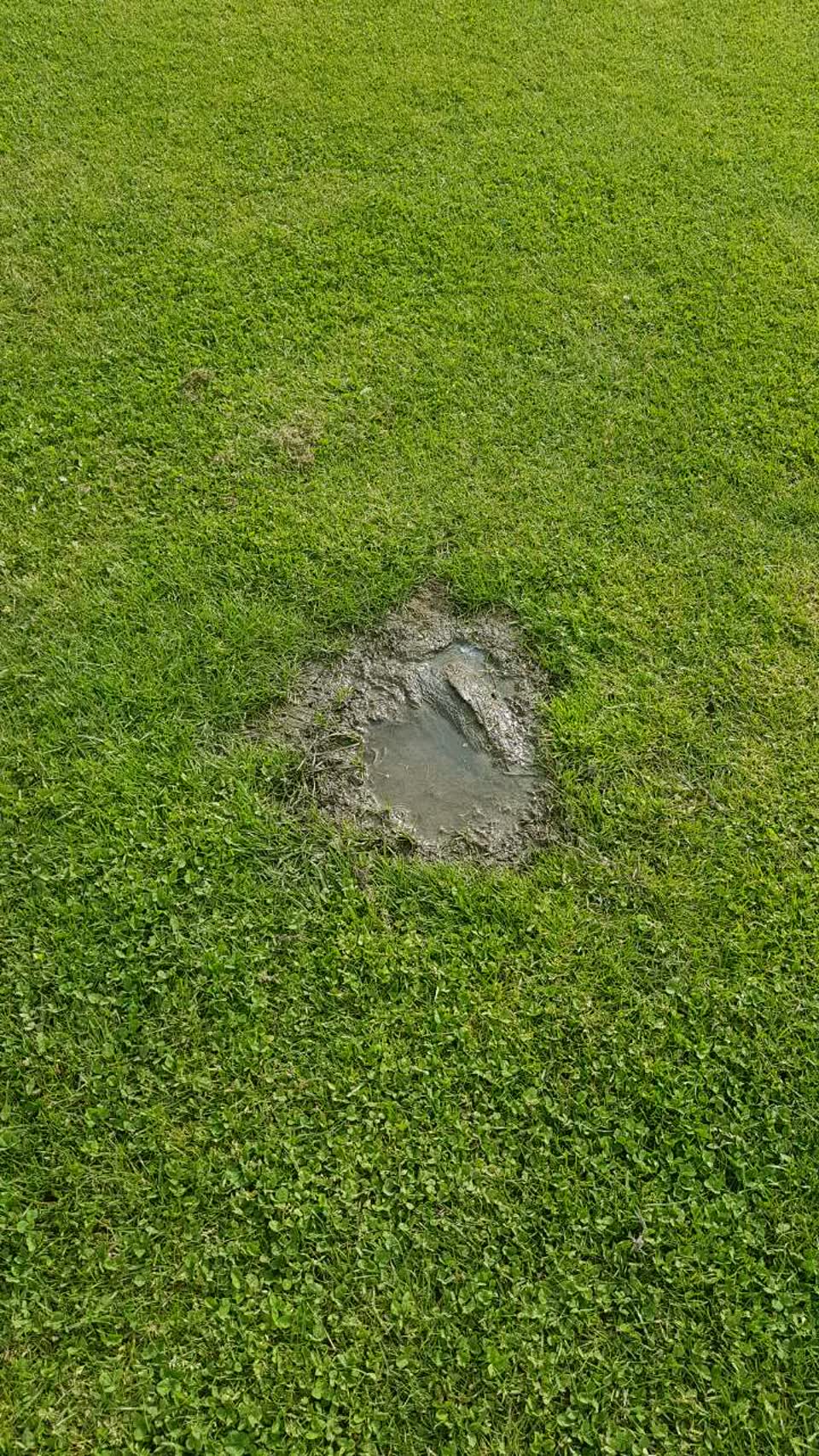 The photograph attached to this wastewater/stormwater report