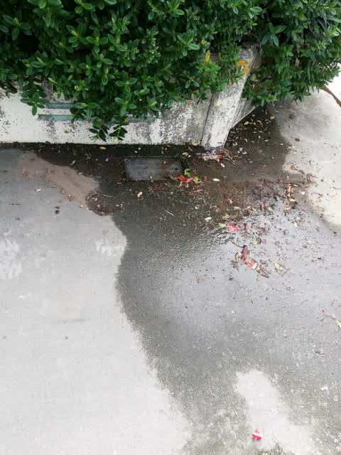 Water Supply, a report photo