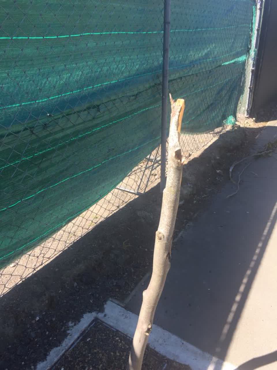 The photograph attached to this roading/streets report