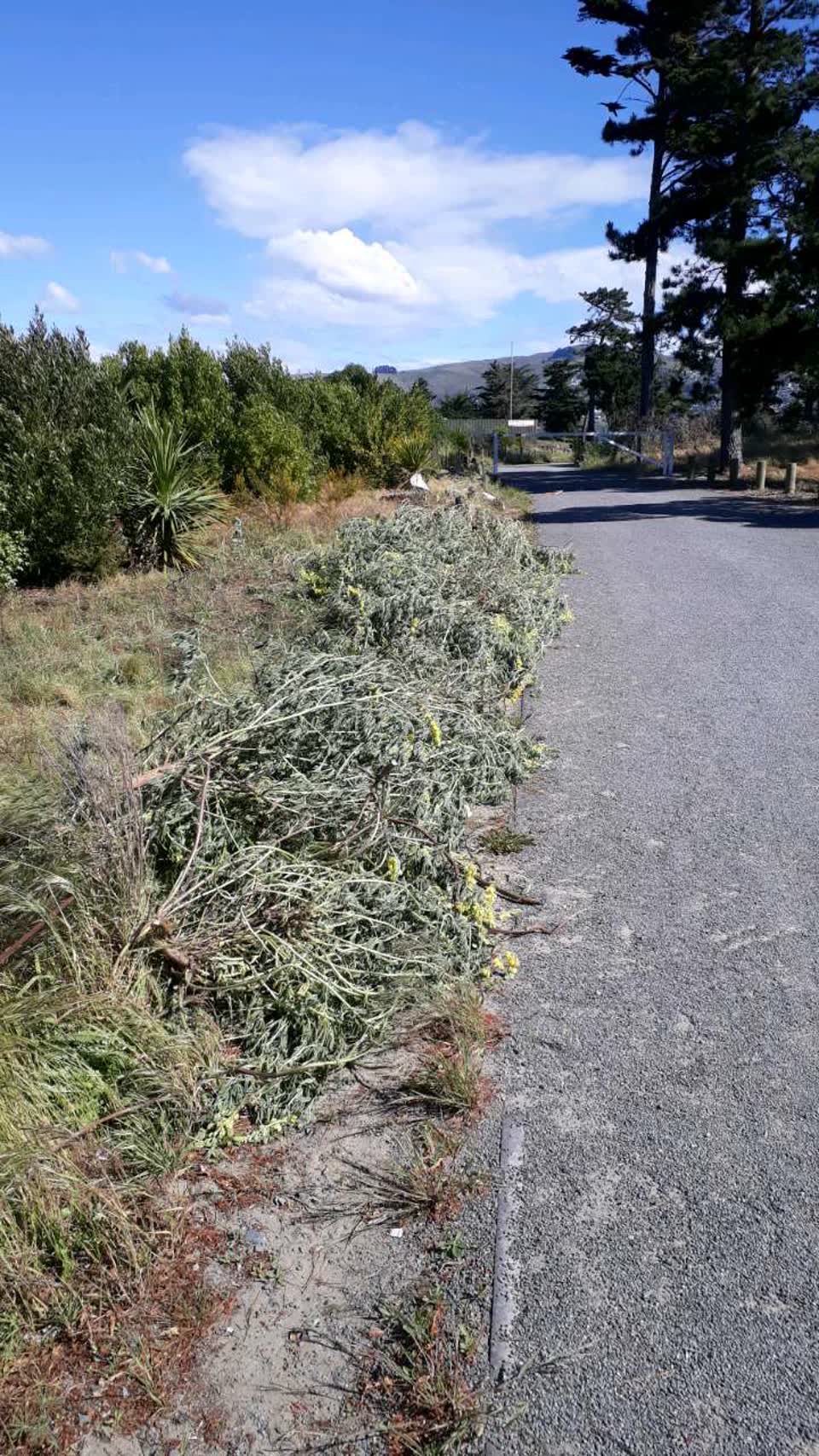 The photograph attached to this parks report