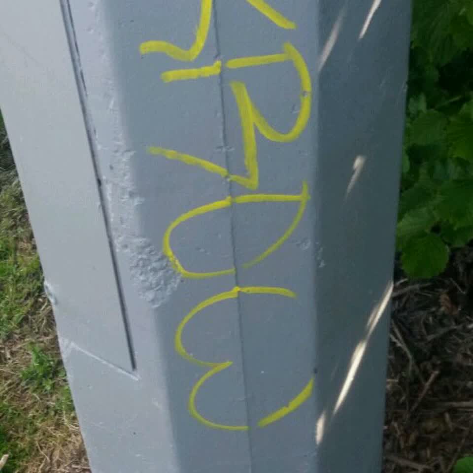 The photograph attached to this graffiti report