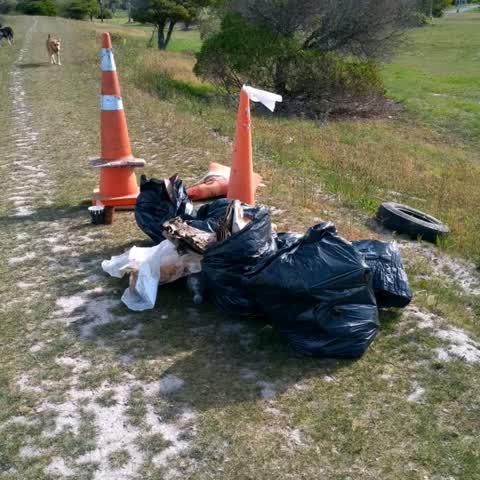 Rubbish/Recycling, a report photo