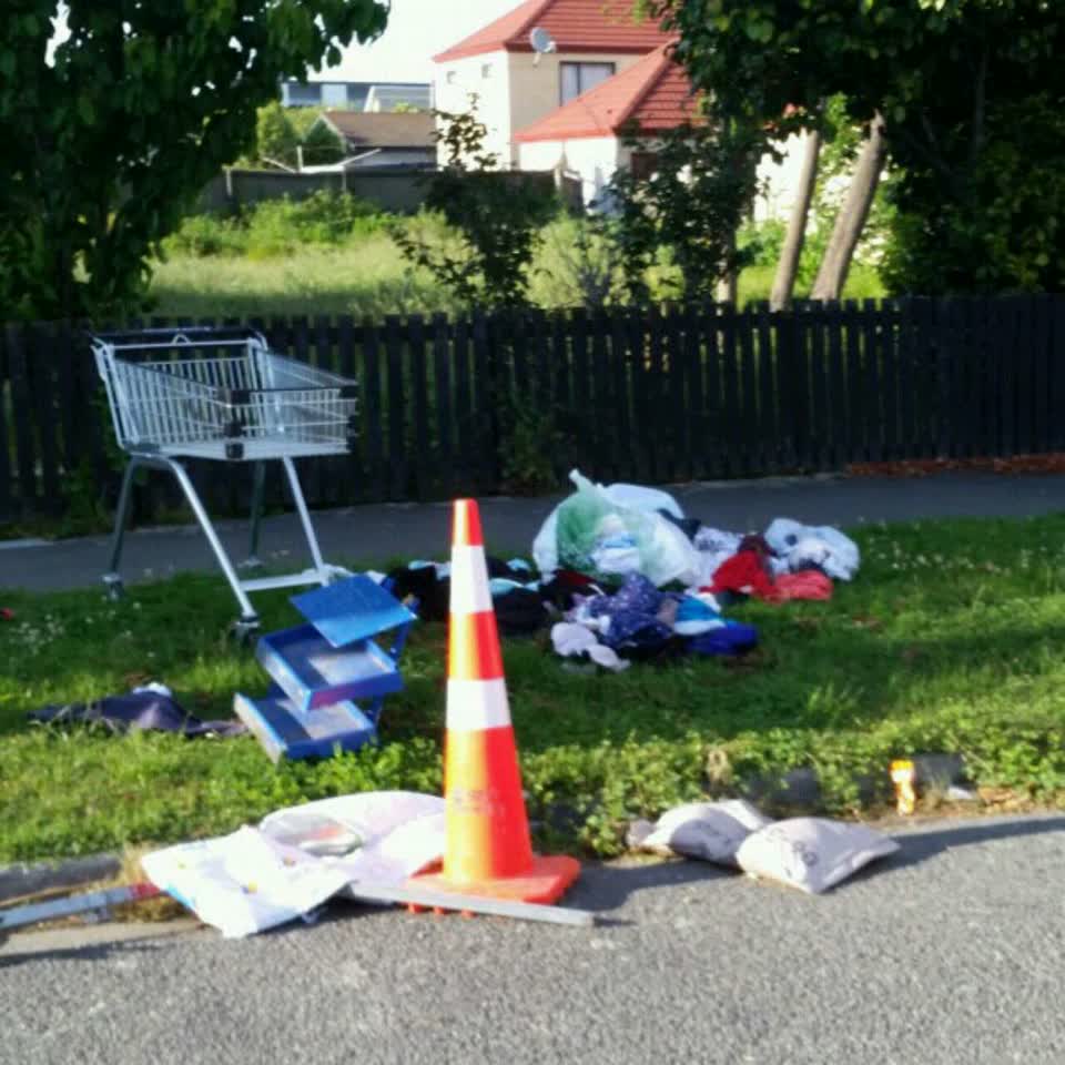 The photograph attached to this rubbish/recycling report