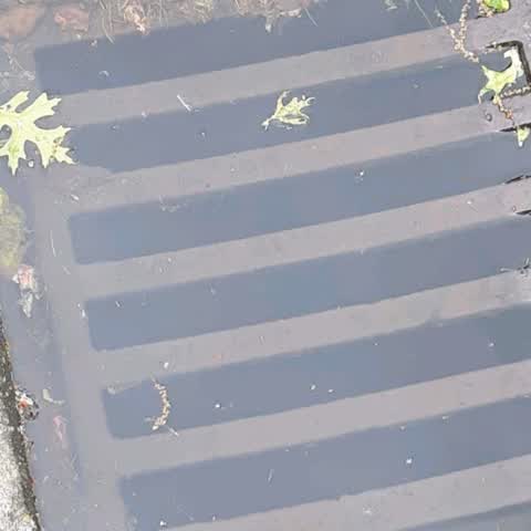 Flooding, a report photo