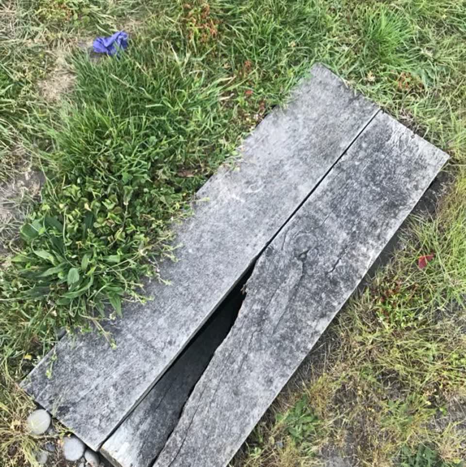 The photograph attached to this parks report