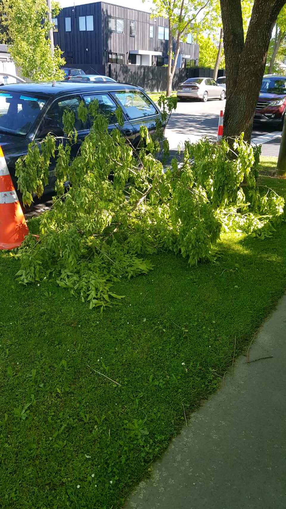 The photograph attached to this parks report
