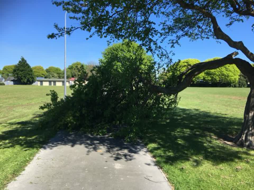 The photograph attached to this parks report