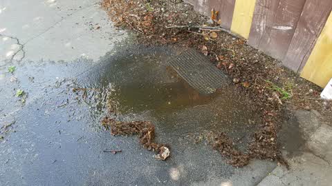 Water Supply, a report photo