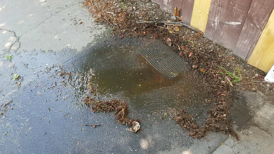 The photograph attached to this water supply report