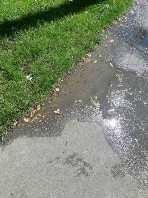 Water Supply — a report photo