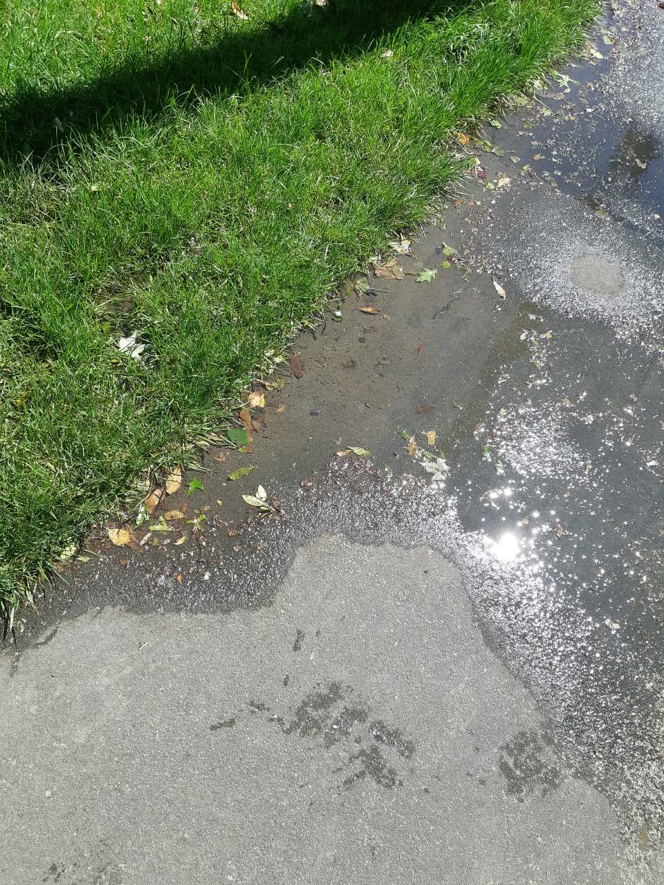 The photograph attached to this water supply report