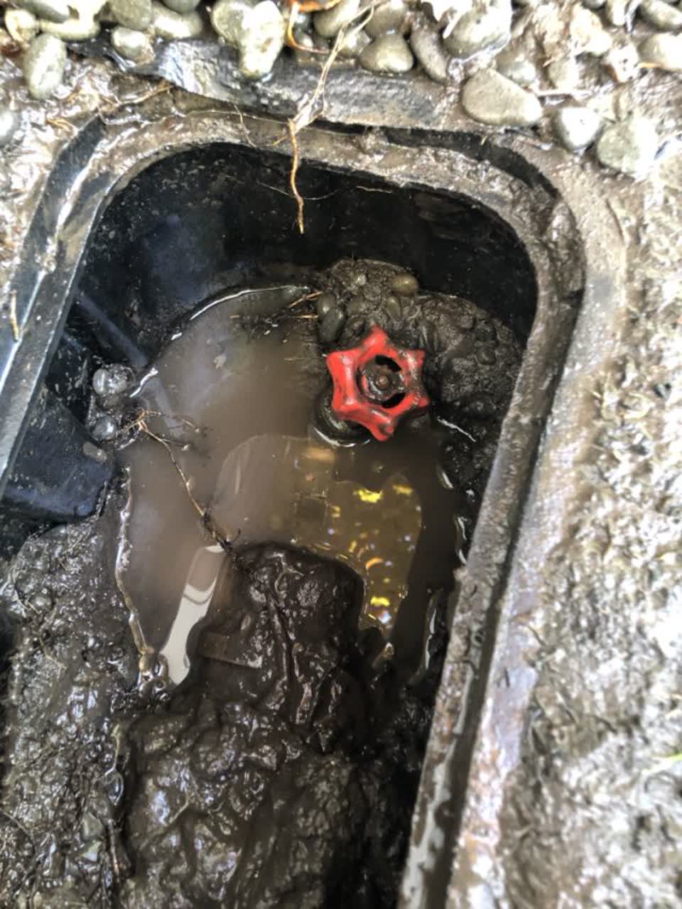 The photograph attached to this water supply report
