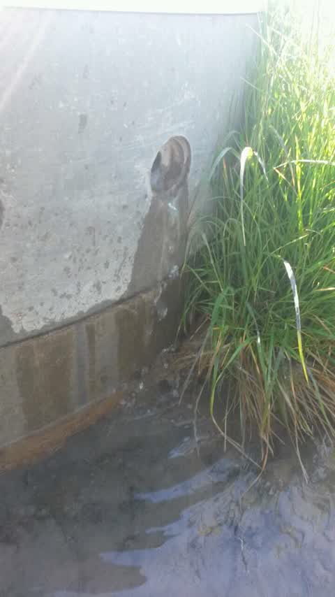 Water Supply, a report photo