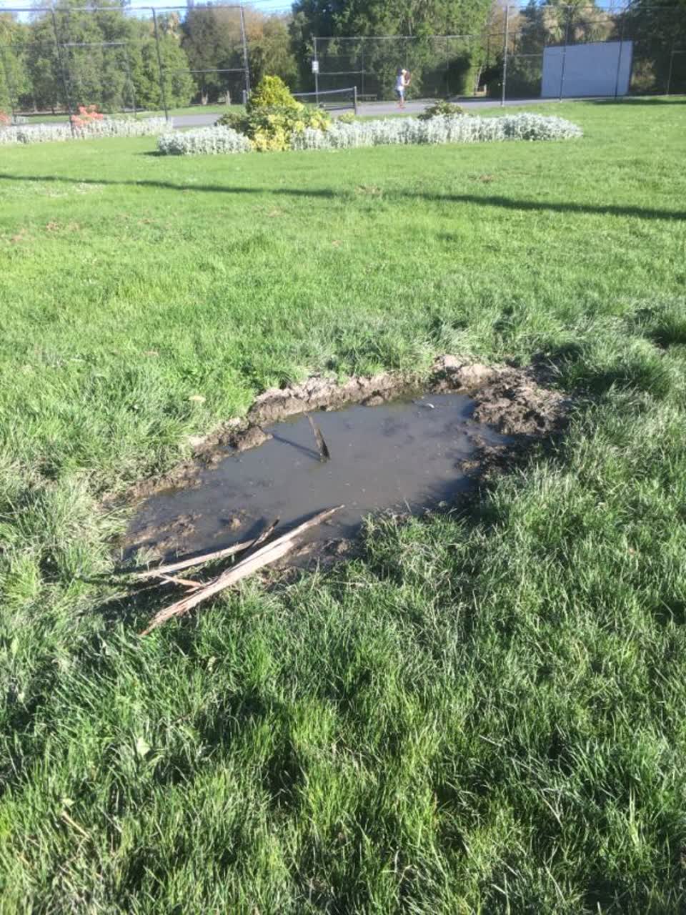 The photograph attached to this parks report
