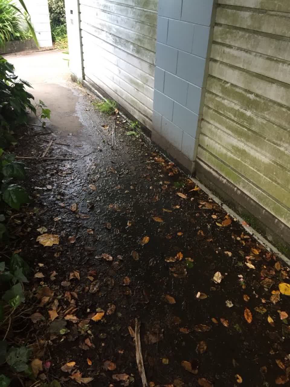 The photograph attached to this water supply report