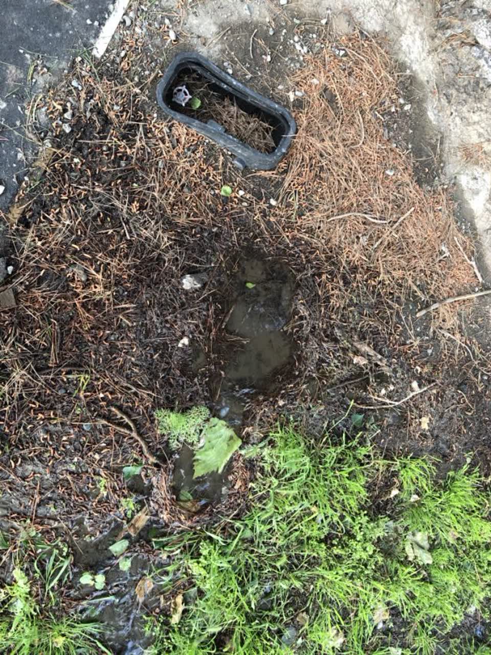 The photograph attached to this flooding report