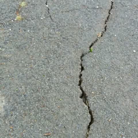 Roading/Streets, a report photo