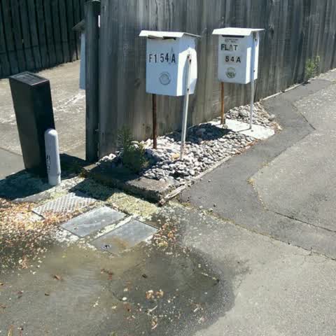 Water Supply, a report photo