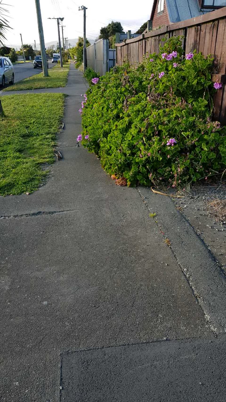 The photograph attached to this roading/streets report