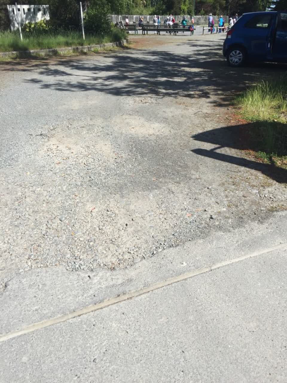 The photograph attached to this parks report