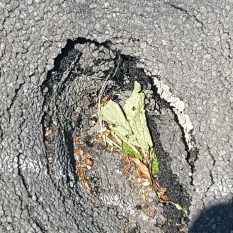 Roading/Streets, a report photo