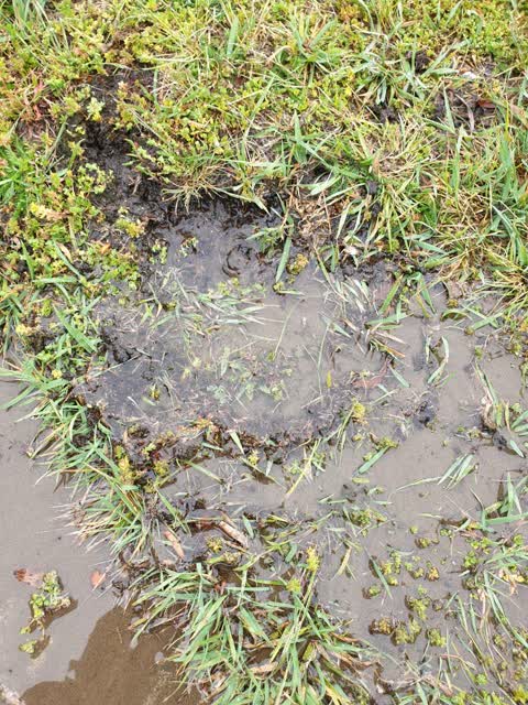 Water Supply, a report photo